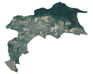 trifecta-wines-tokaj-hungary-tallya-300px trifecta-wines-tokaj-hungary-tallya-300px